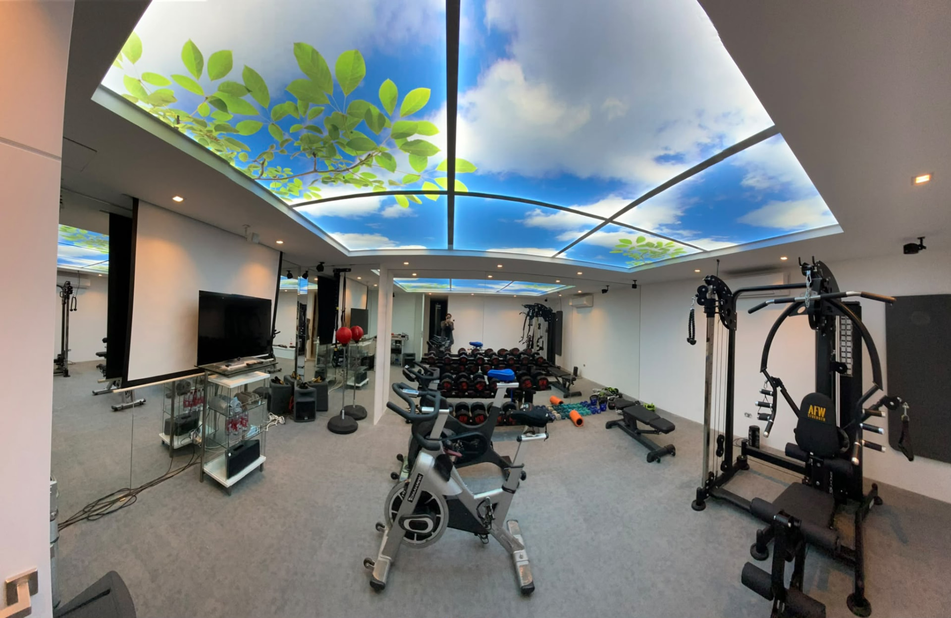 Private gym with illuminated sky ceiling and mirrored walls